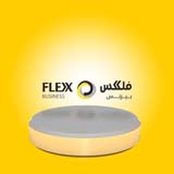 Flexx Business
